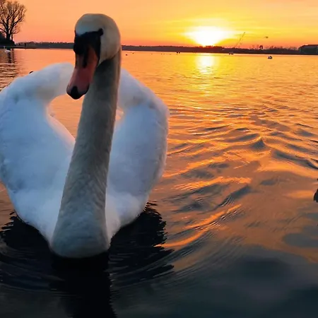 Swkd - Kameralne * Ostróda