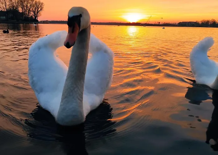 Swkd - Kameralne * Ostróda